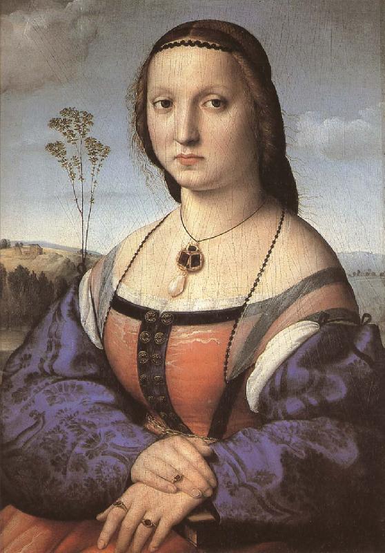 RAFFAELLO Sanzio Portrait of Madali oil painting image